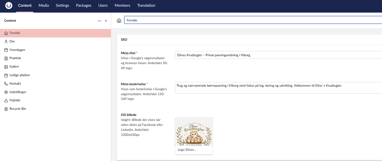 Umbraco backend editing interface